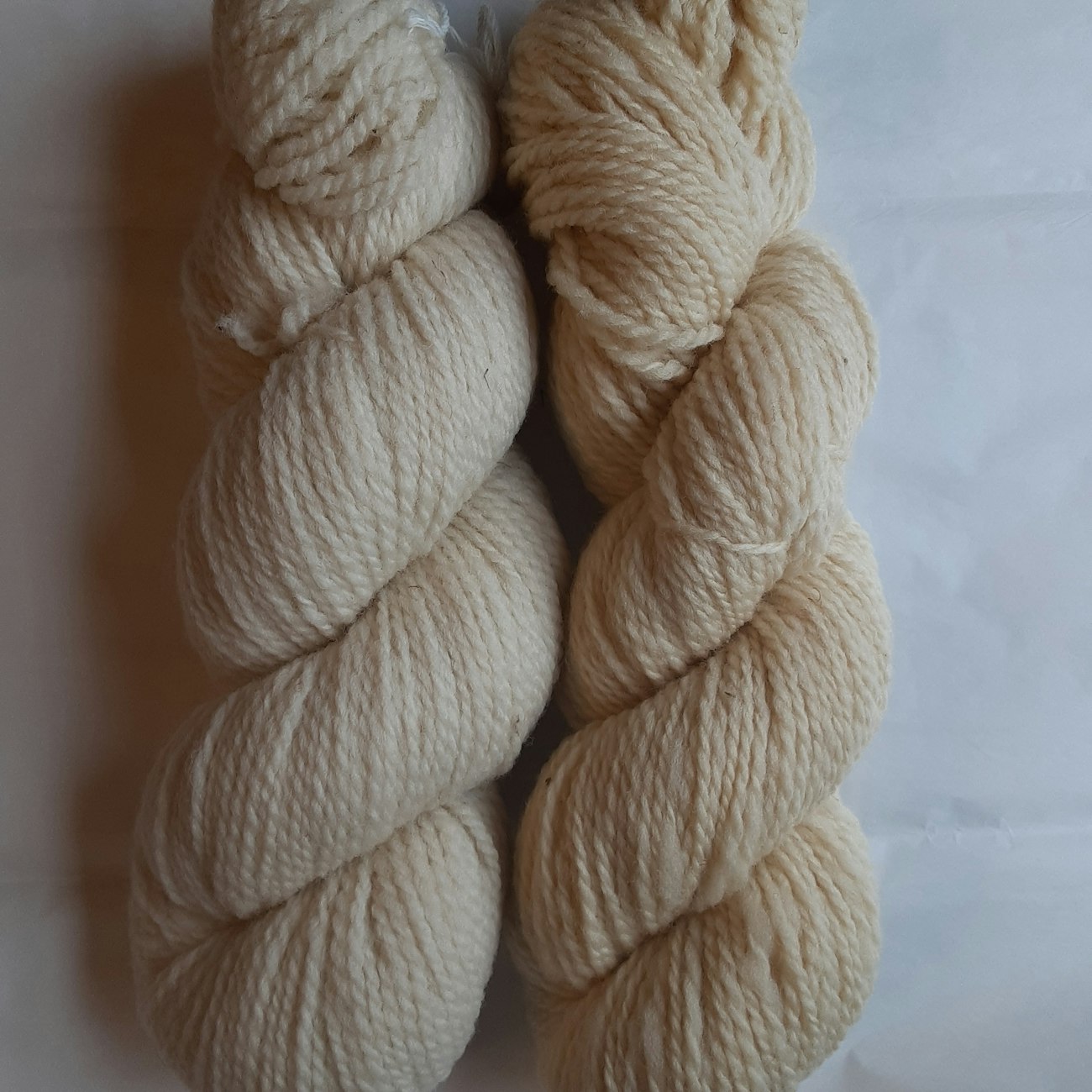 IMG 20191206 122424 250