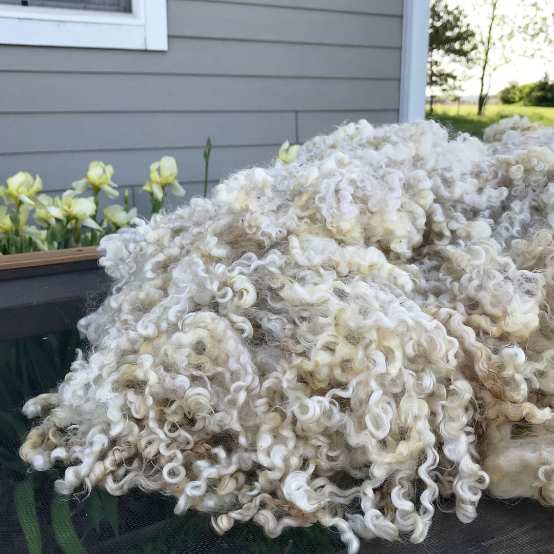 skirting-and-spring-1