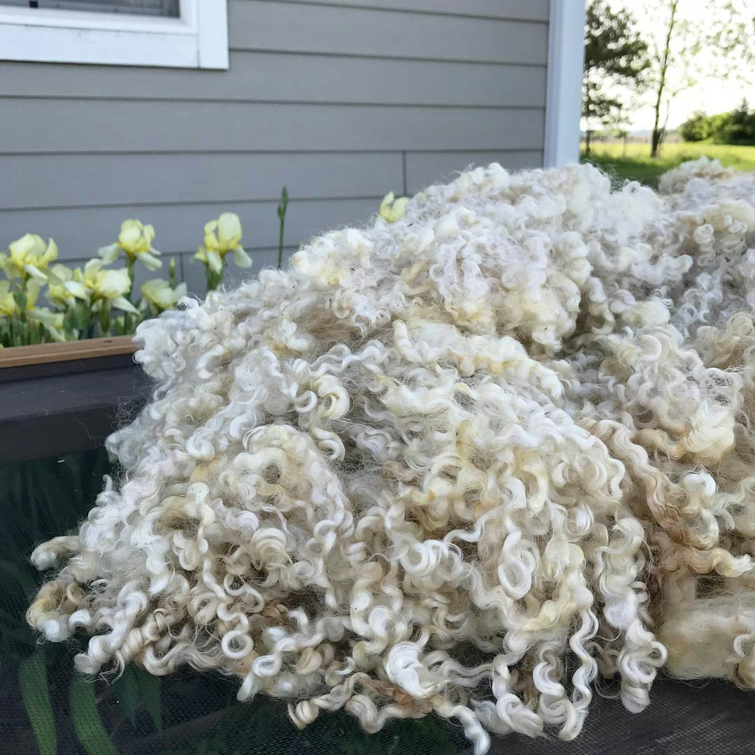 skirting-and-spring-1