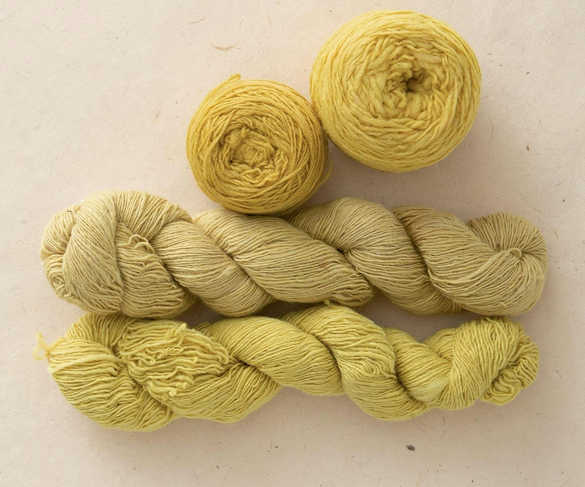 Dyeing-with-Buckthorn-2