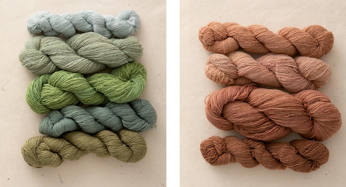 Dyeing-with-Buckthorn-3