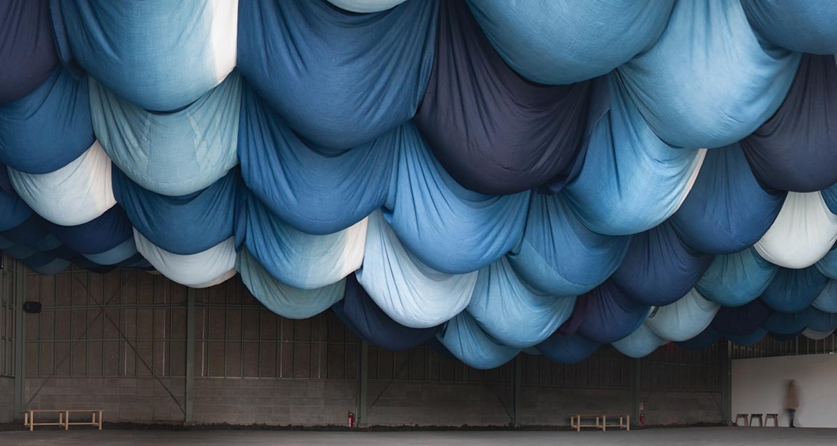 Growing-Indigo-in-Indiana-15