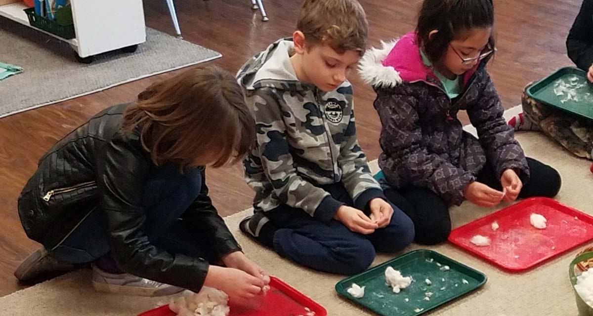 connecting-kids-and-cotton-4