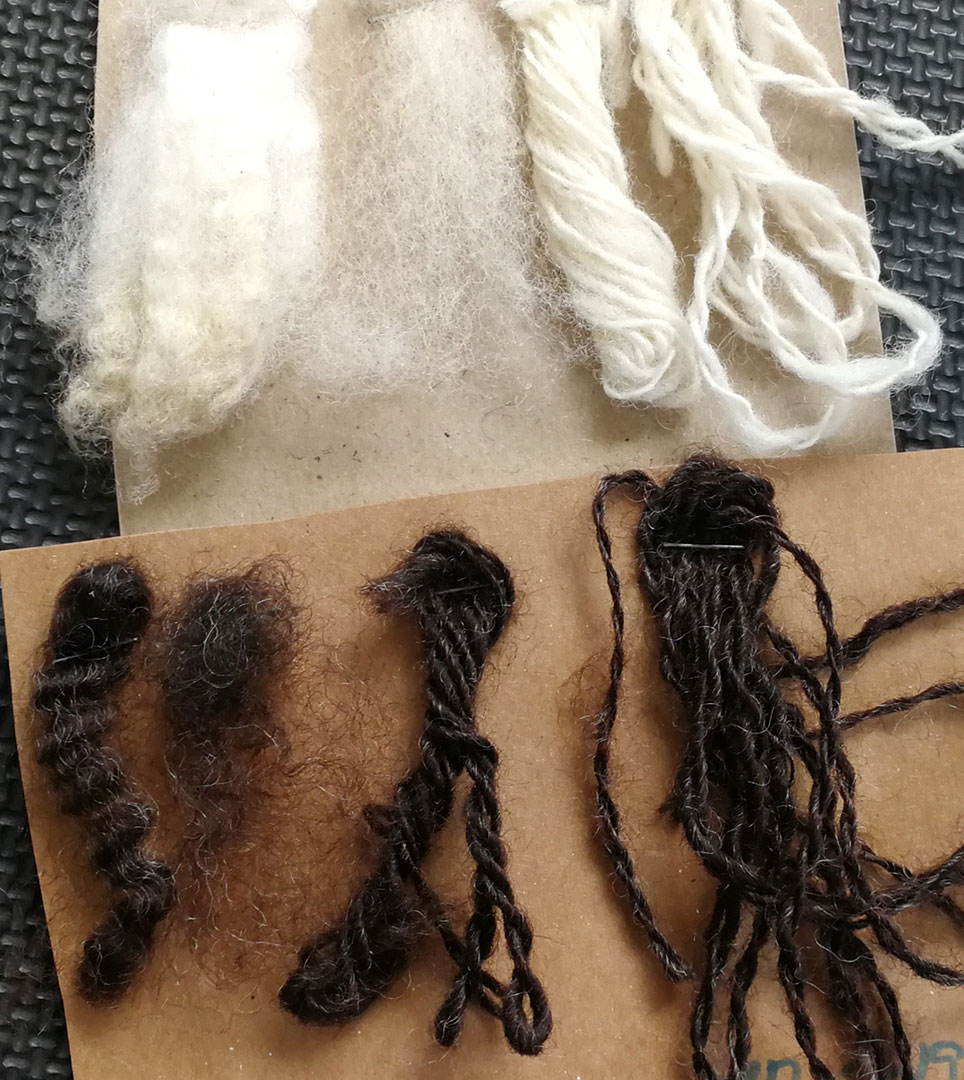 02-YFO-Yarn