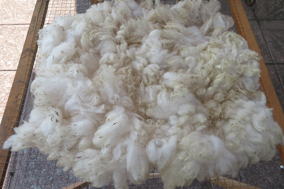 DRYING