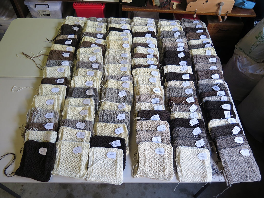 10-full-set-of-squares-before-sorting