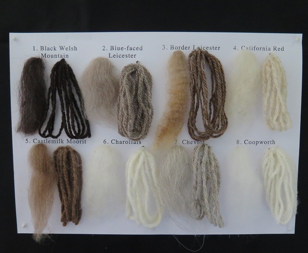 fibre-&-skeinlets-1-8