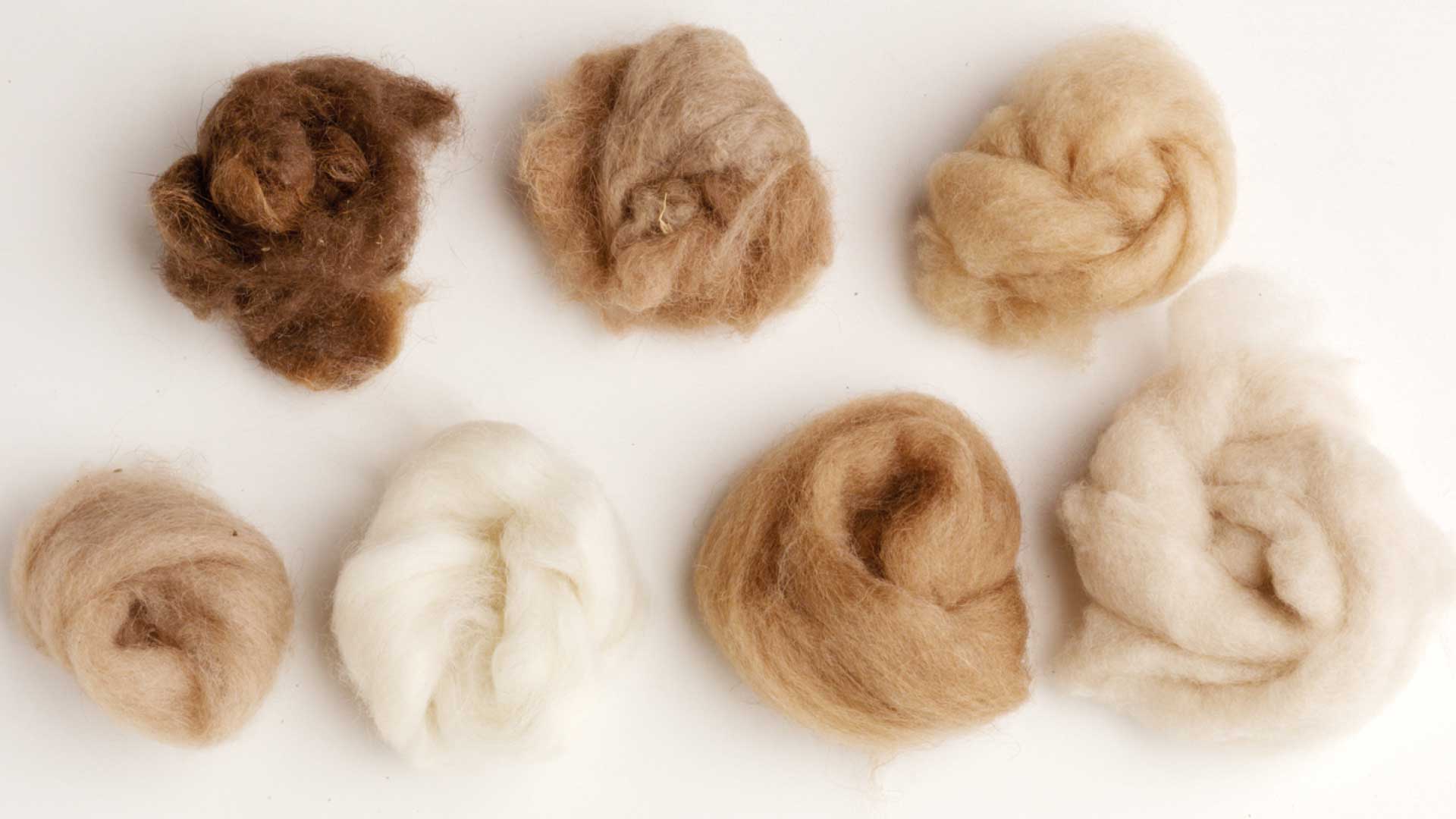 choosing-fiber-8