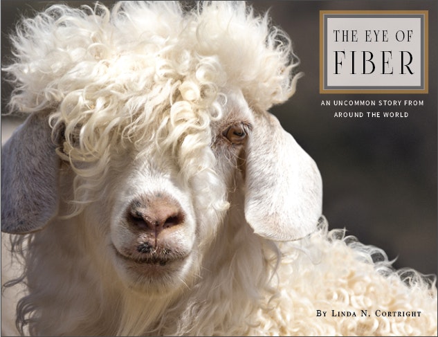 The Eye of Fiber Cover