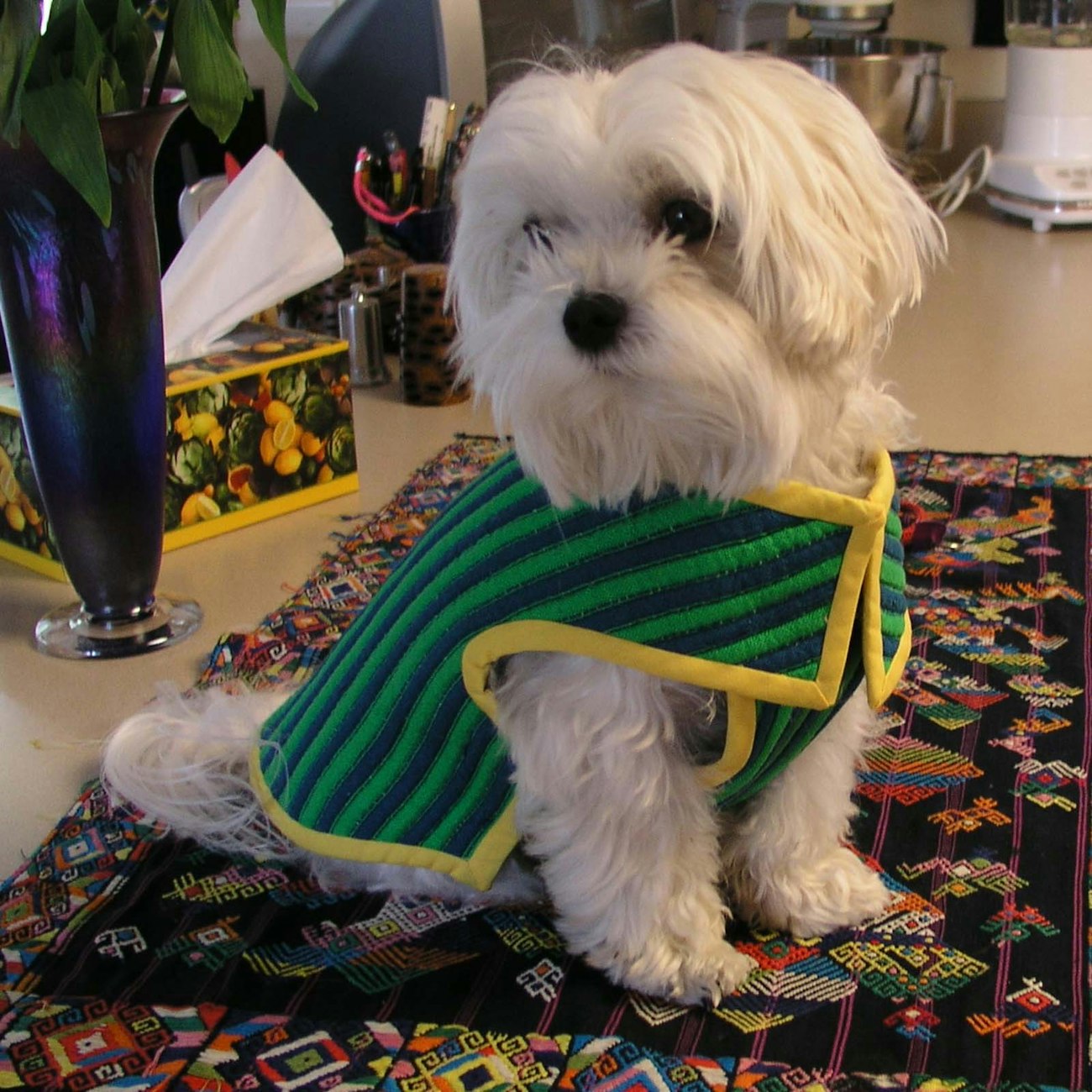 Other possible cover boy mvdh