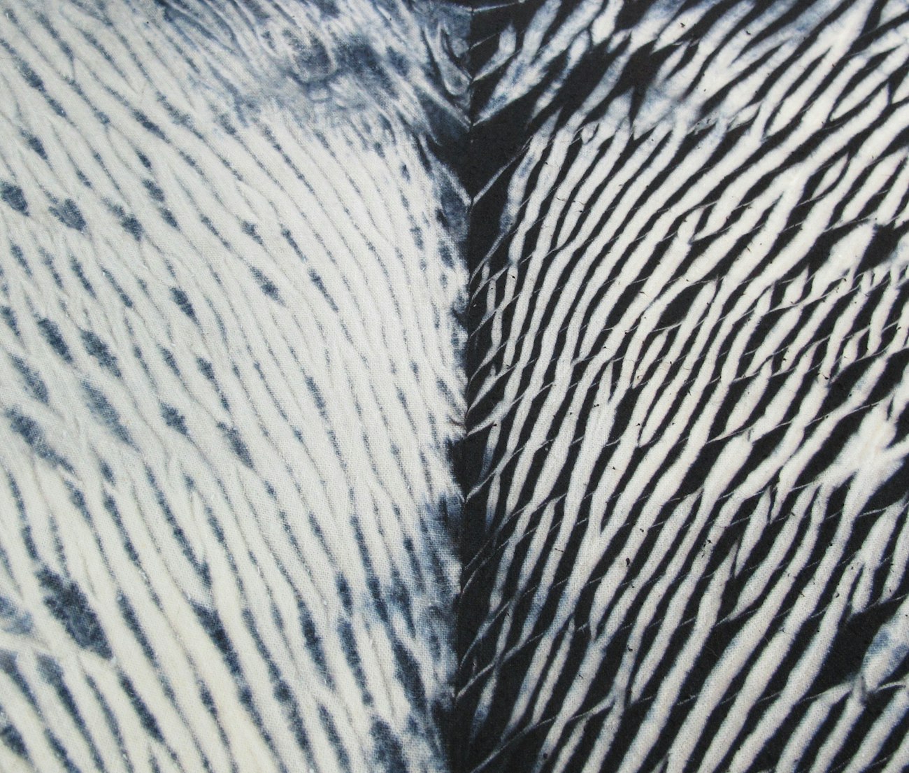 shibori-arashi-from-Mctear-video-cropped