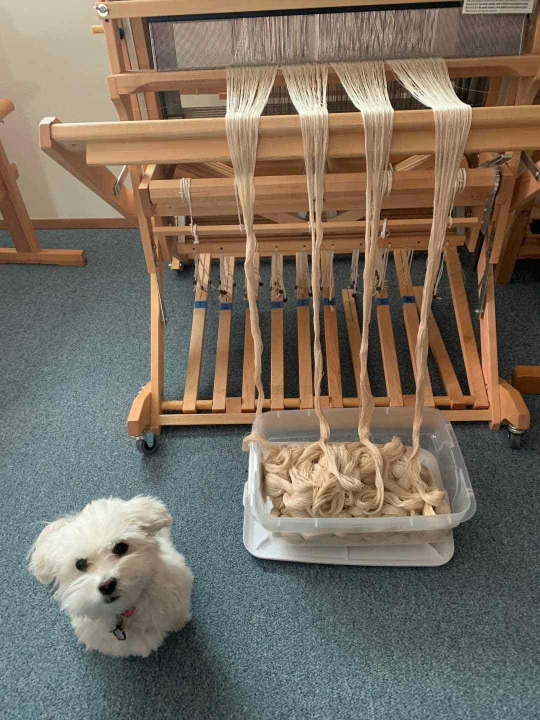 Madelyn Loom Warp Chains