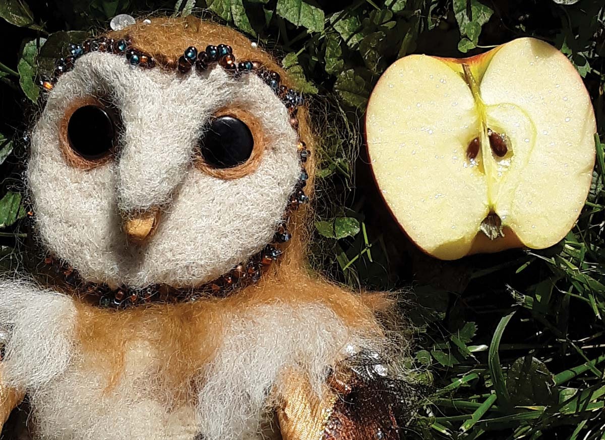 molly-the-barn-owl-2