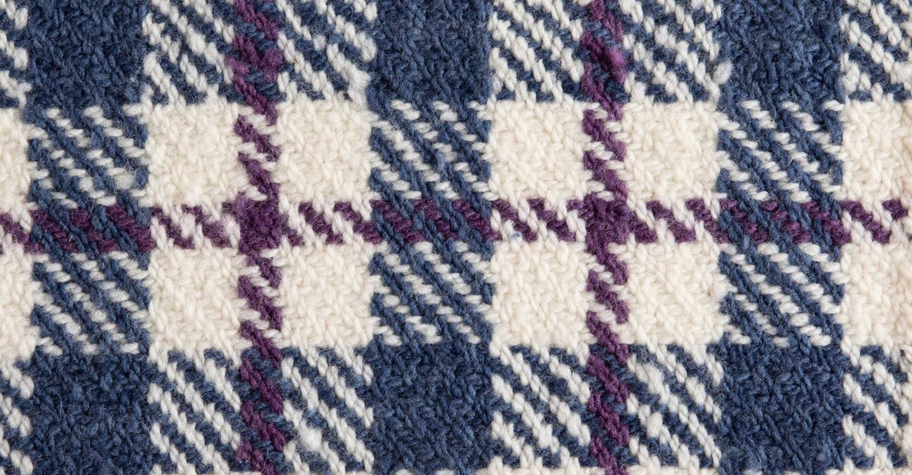 cody-by-mountain-meadow-4