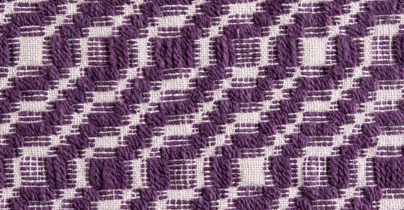 cody-by-mountain-meadow-5