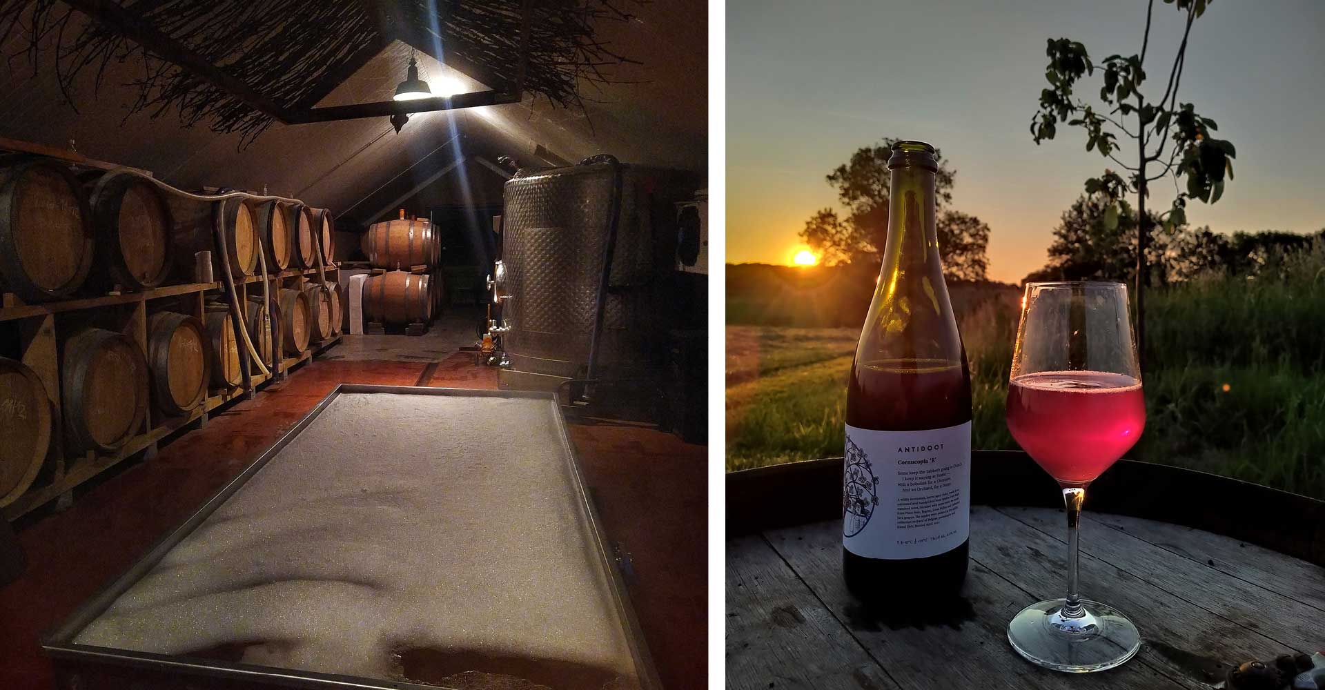 Metamodern-Tastes-in-Country-Beer-3