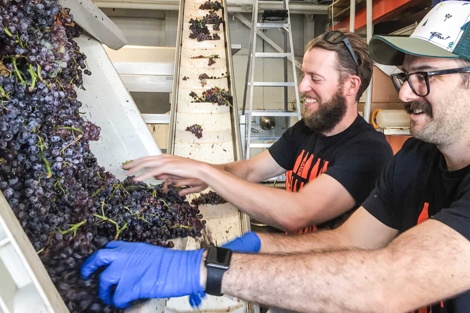 New-Solutions-for-the-New-Solutions-2