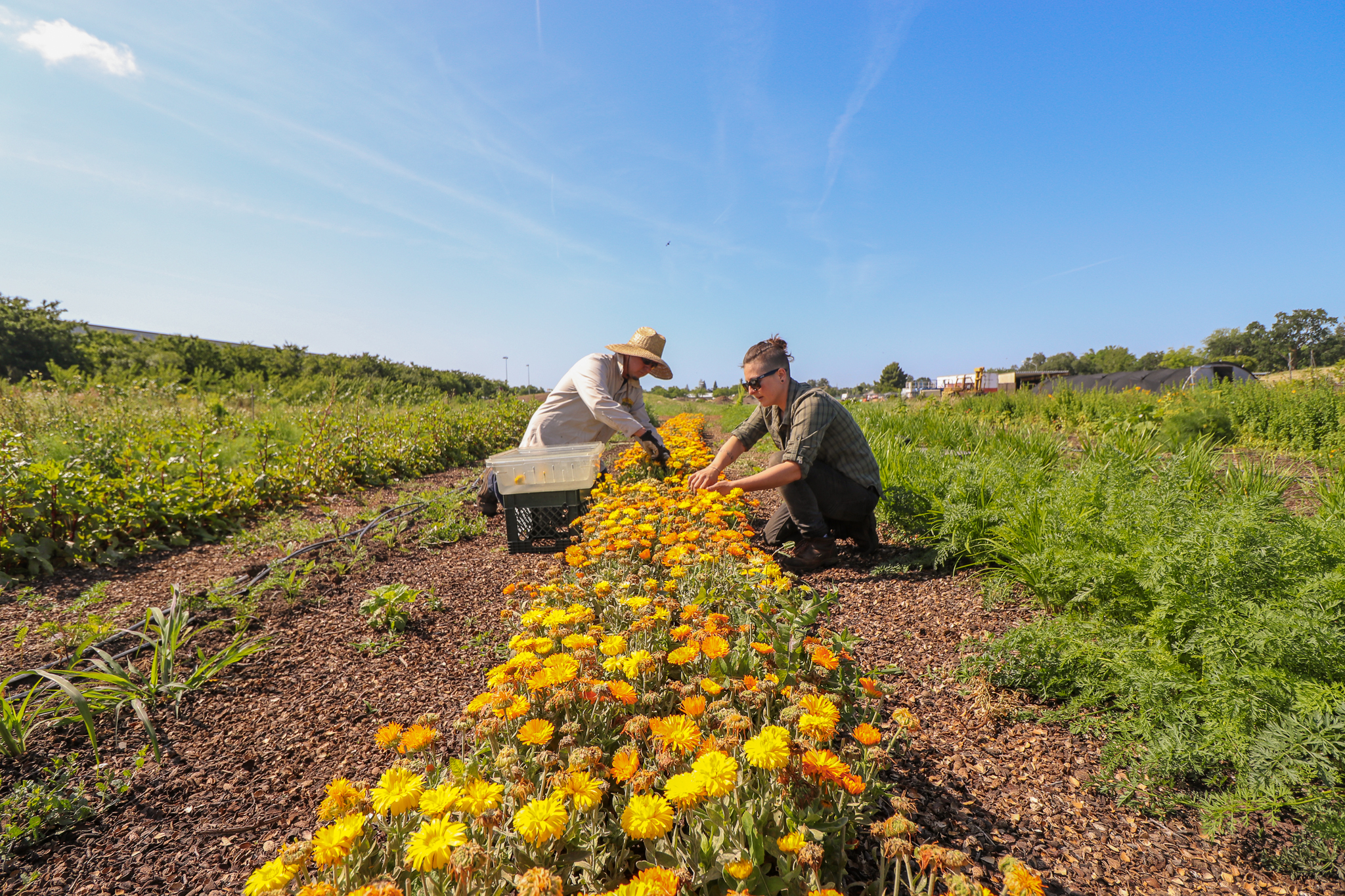 garden-photos may-2019 edit-2048w-3