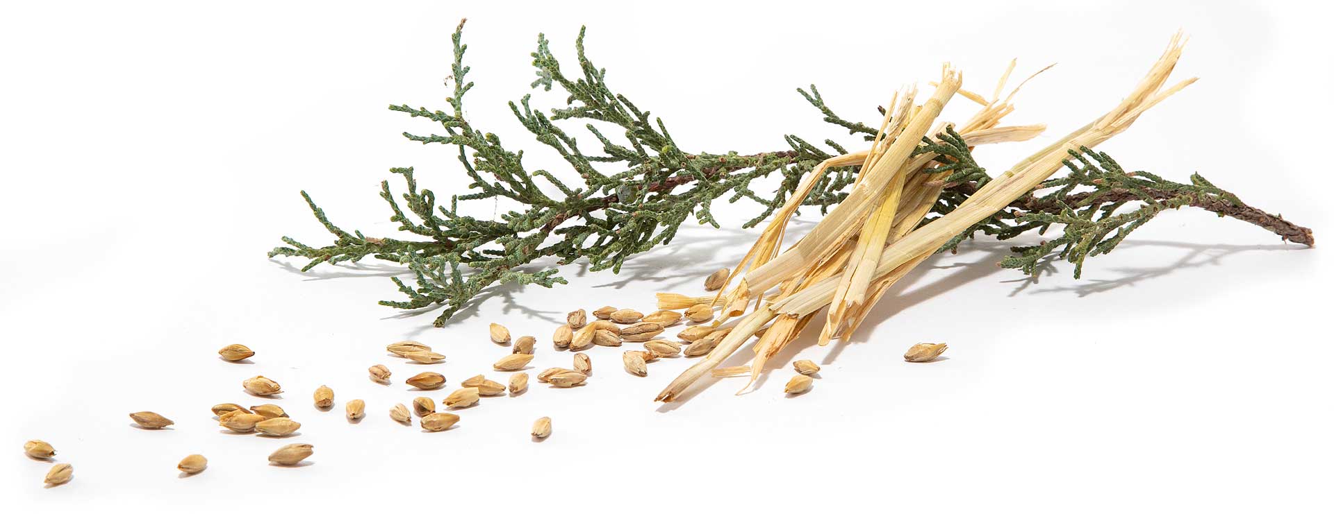 For-the-Love-of-Kveik-2