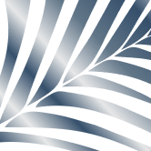 Palm Beach Facial Plastic logo