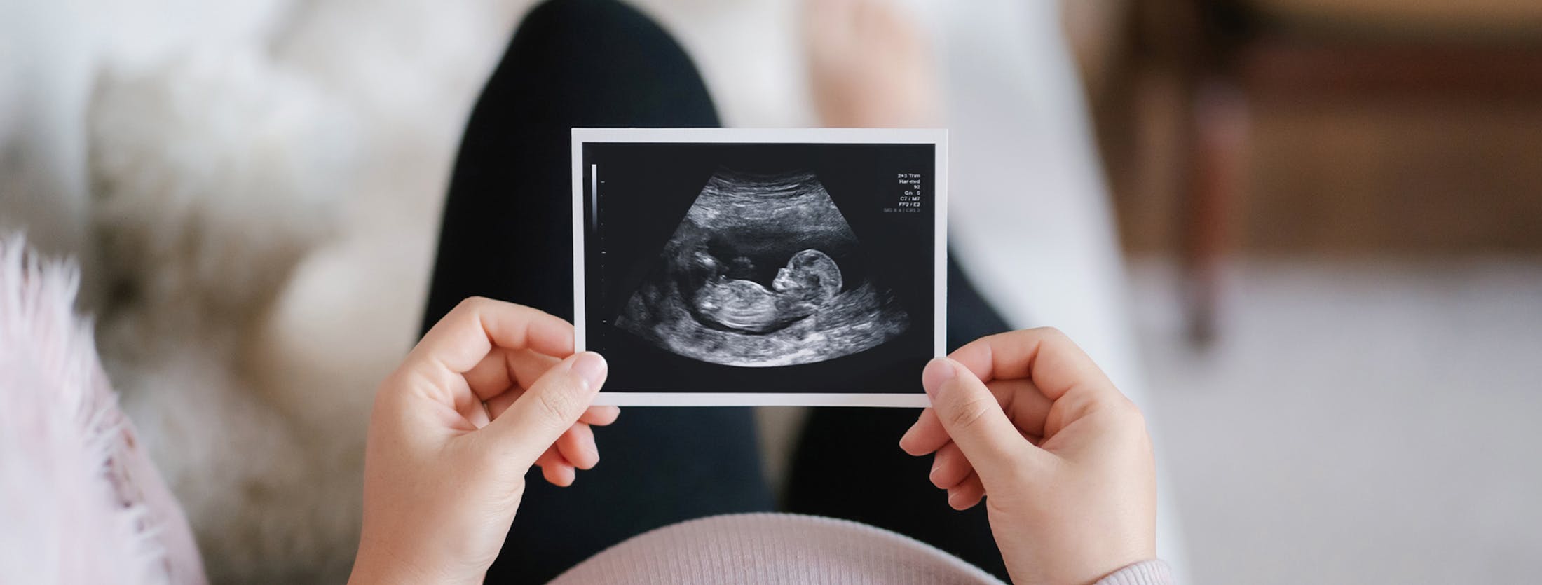 Pregnancy Discrimination Banner