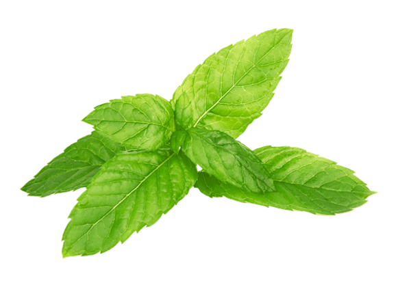 Menthol