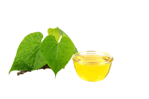 Guduchi leaves and Liquid extract