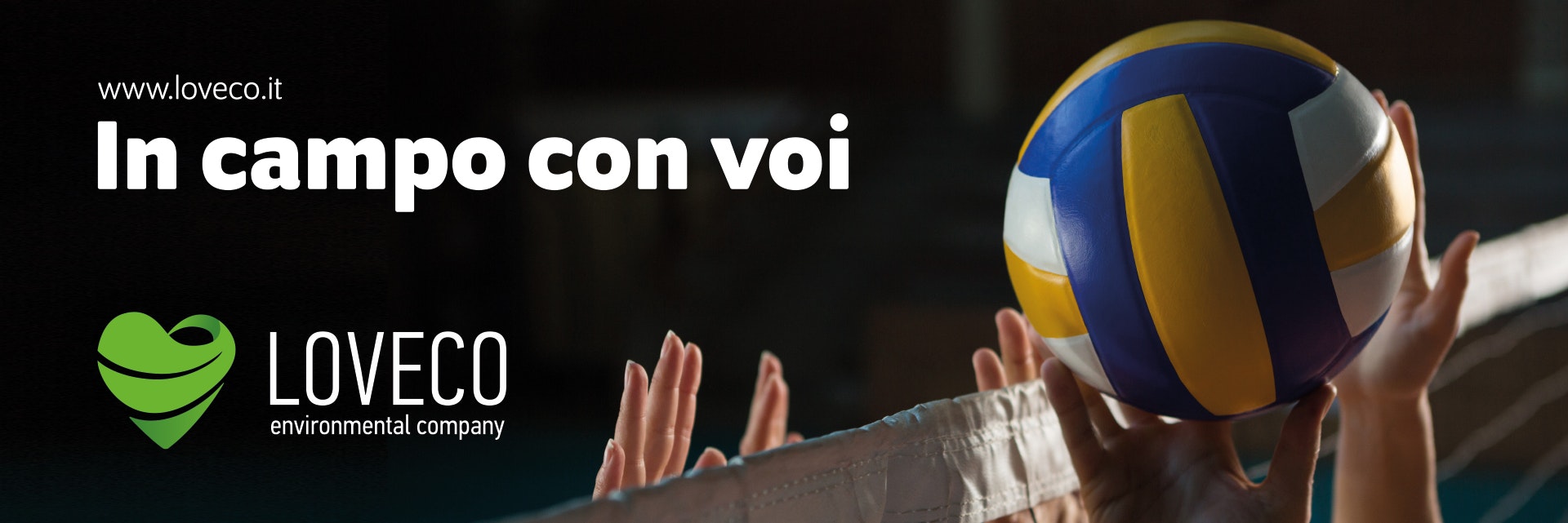 Loveco - Sponsor volley