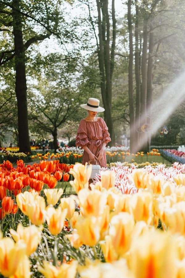 What to Do in Amsterdam This Spring