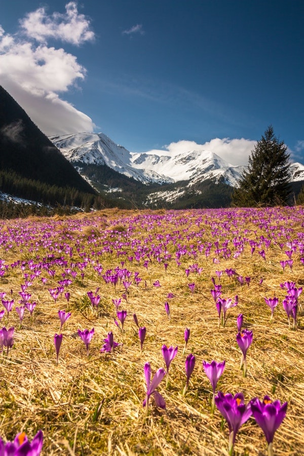 Where to travel during your May holidays if you have no plans yet.