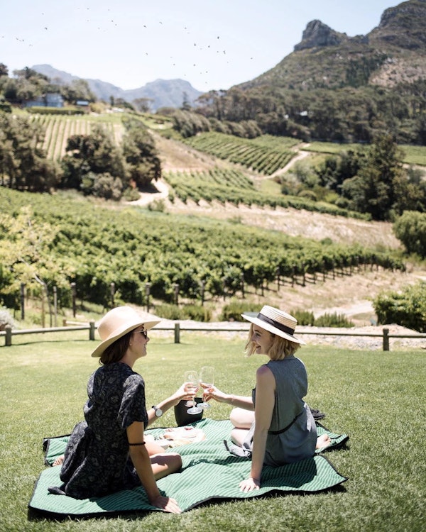Top Destinations for Wine Lovers