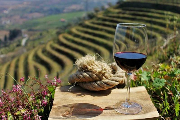 Top Destinations for Wine Lovers