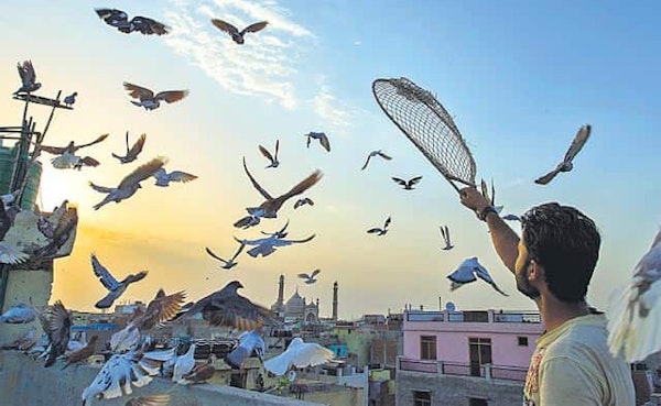 Insiders' Guide: Exploring Delhi in one day