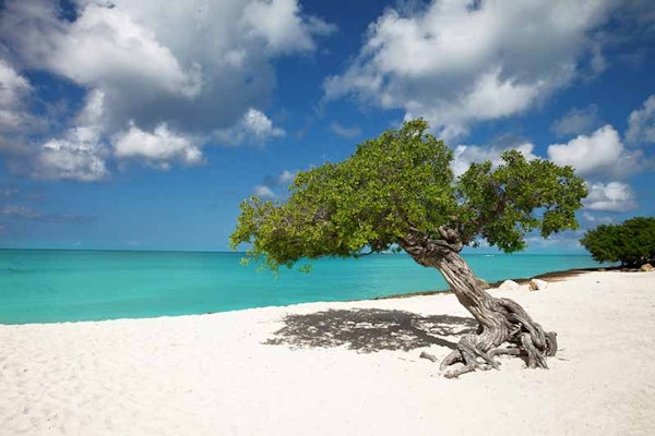 Reasons to visit Aruba 