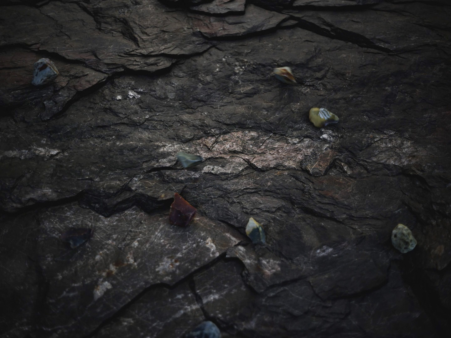 Kim Laybourn, still from The Realm of Things, 3D-animation video, 2026.