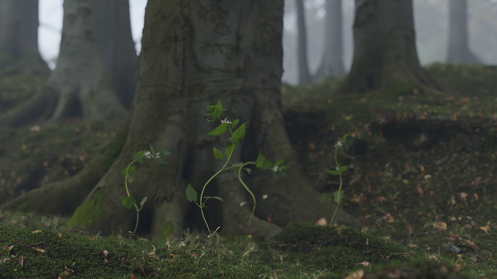 Kim Laybourn, still from The Animate Landscape, 3D-animation video, 2026.