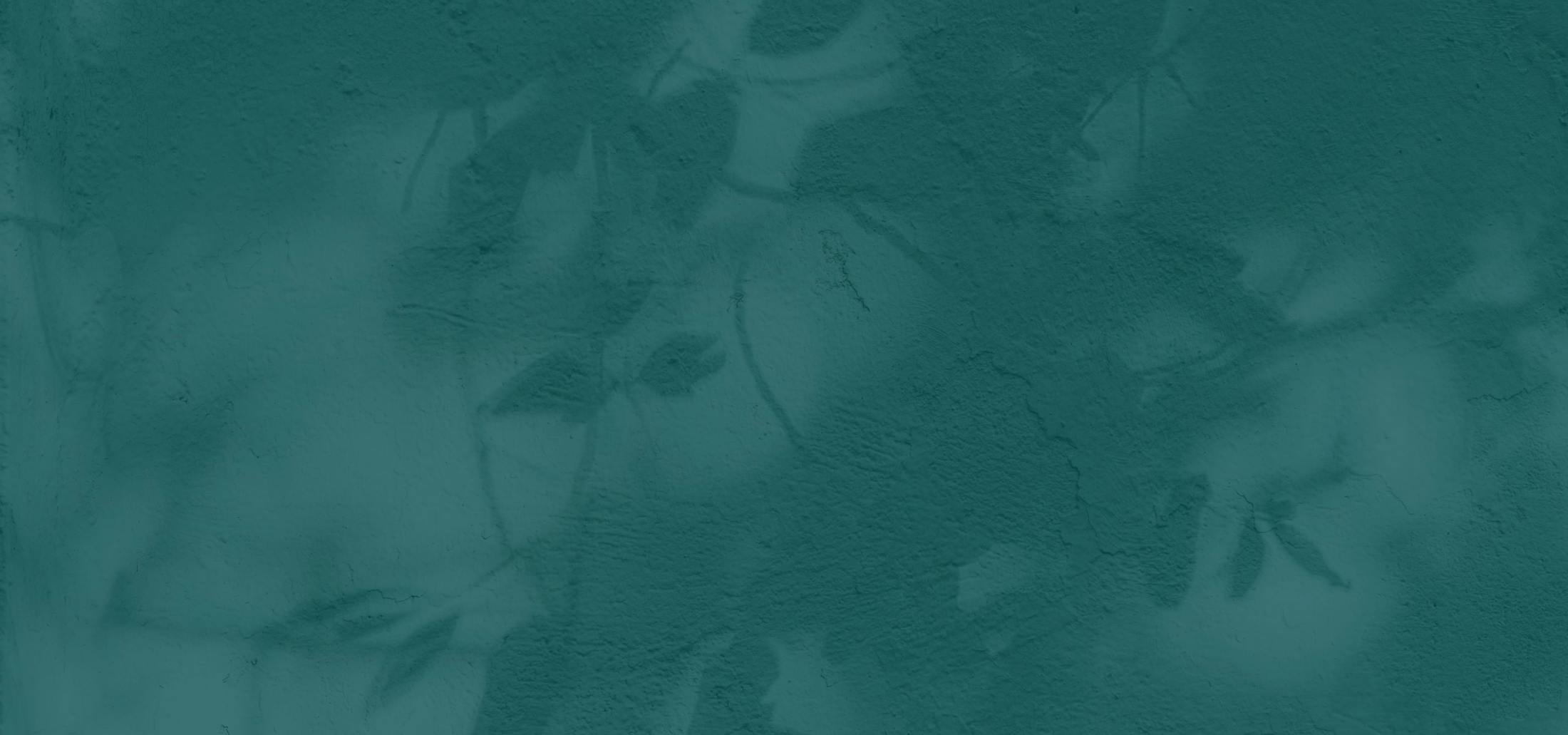 gray field