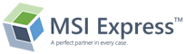 MSI Express logo