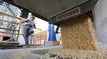 Person working in a grain manufacturing facility