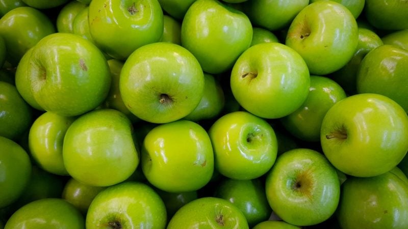 What Food Companies Need to Know About FSMA Audits