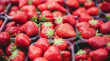 Up close photo of strawberries