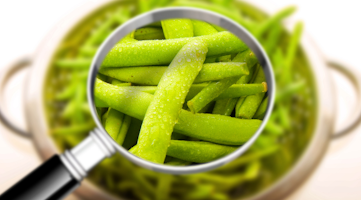 Edamame under a magnifying glass