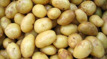 A stack of raw potatoes.
