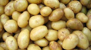 Up close photo of potatoes