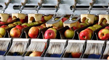 Customer Success Story: How Chelan Fruit Boosted Food Safety, Compliance & Productivity with a Paperless System