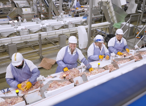 Operators on the line in a poultry manufacturing facility