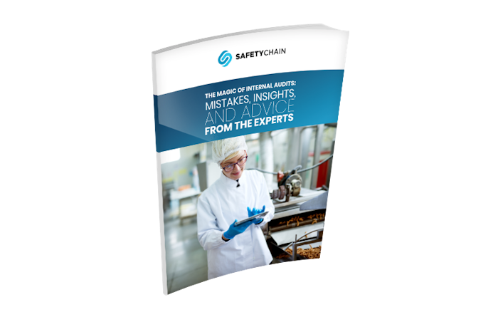 The Magic of Internal Audits: Mistakes, Insights, and Advice From The Experts