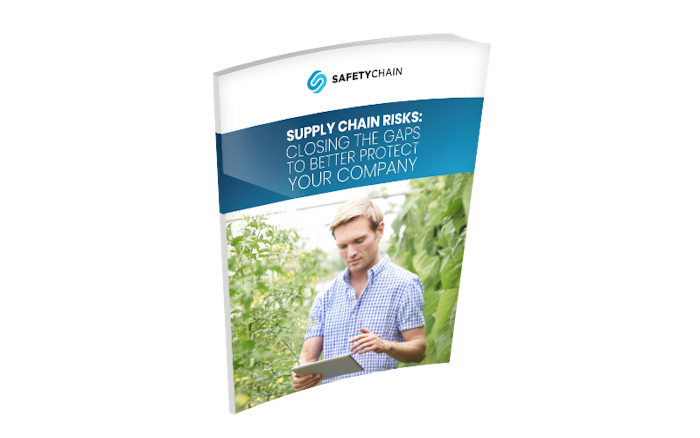 Supply Chain Risks: Closing the Gaps to Better Protect Your Company