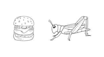 Drawing of a burger next to a grasshopper.