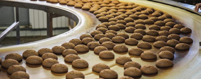 food manufacturing conveyor belt